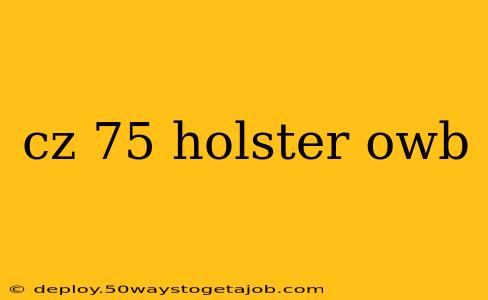 cz 75 holster owb
