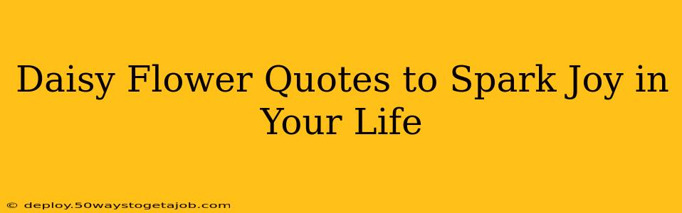 Daisy Flower Quotes to Spark Joy in Your Life