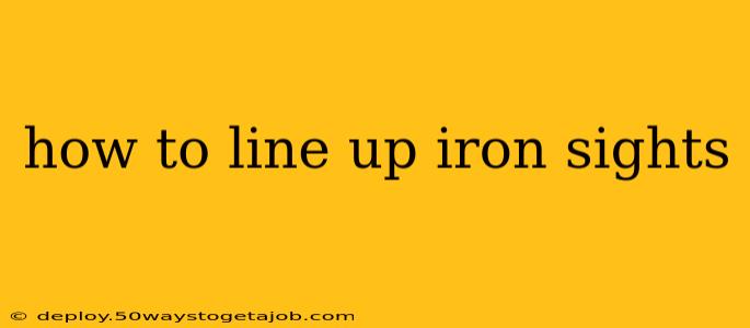 how to line up iron sights
