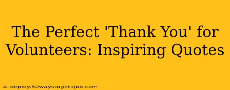 The Perfect 'Thank You' for Volunteers: Inspiring Quotes
