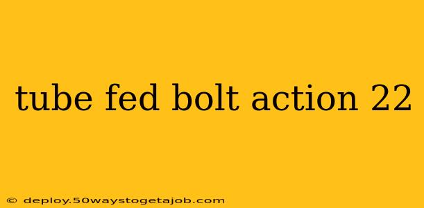 tube fed bolt action 22