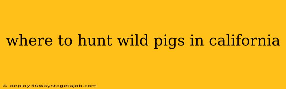 where to hunt wild pigs in california
