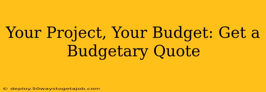 Your Project, Your Budget: Get a Budgetary Quote